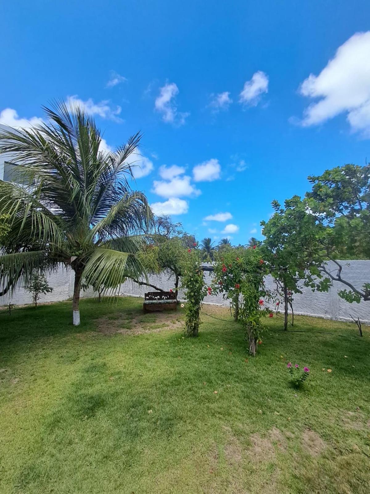 Pousada Intimista Odoya Beach - Suite Quadrupla Conde  Extérieur photo