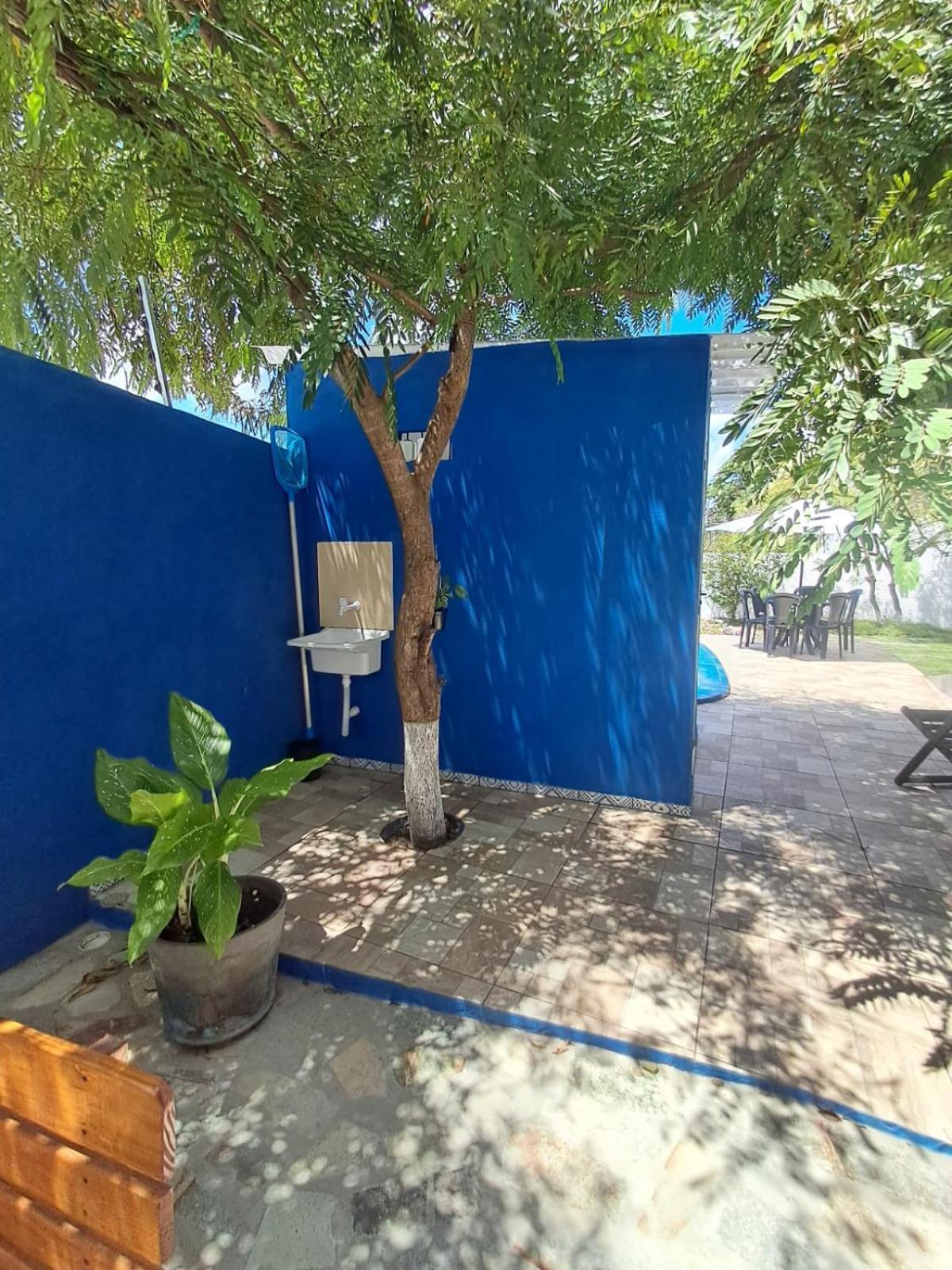 Pousada Intimista Odoya Beach - Suite Quadrupla Conde  Extérieur photo